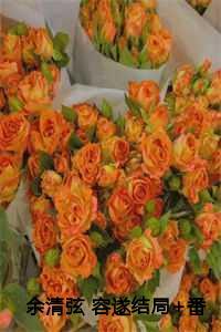 余清弦容遂大结局