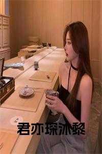 君煜泽沐晚免费阅读