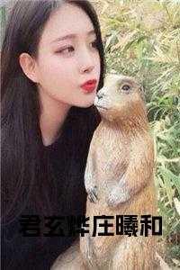 君玄烨云轻婉免费全文