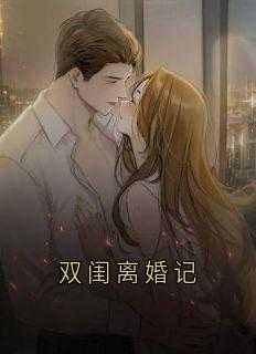 双闺离婚记原著叫什么名字