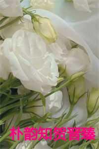 朴韵知贺晋臻朋友圈发合照