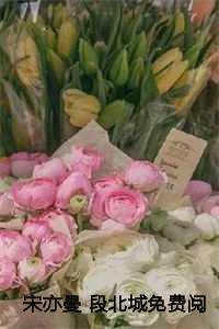 宋亦曼段北城最后录音