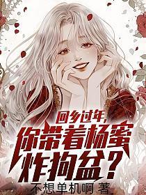 回乡过年你带着杨蜜炸狗盆TXT