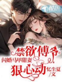 闪婚傅少甜宠妻