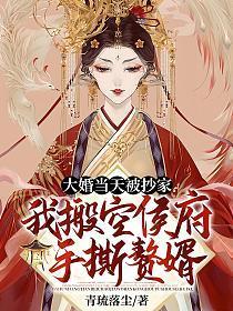 大婚当天被抄家?我搬空侯府手撕赘婿 青琉落尘