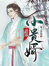 逍遥小贵婿奚帷真实身份