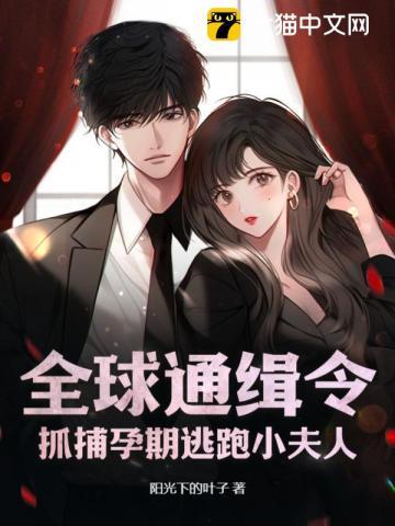 全球通缉带球小逃妻
