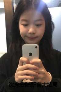 沈念安陆林稹笔趣阁