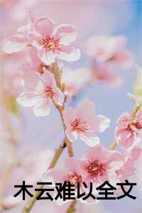 如木云亦免费全文