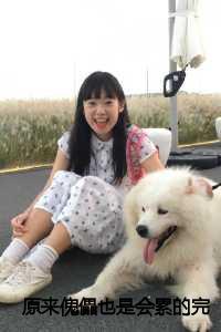 傀儡是啥子意思