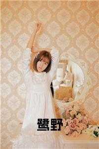 野鹭是什么意思