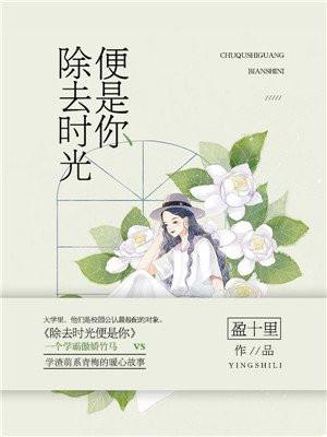 除去时光便是你 盈十里