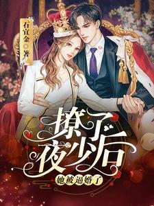 沐小七夜景阑大结局