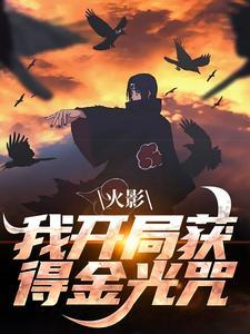 纲手背影壁纸 竖屏