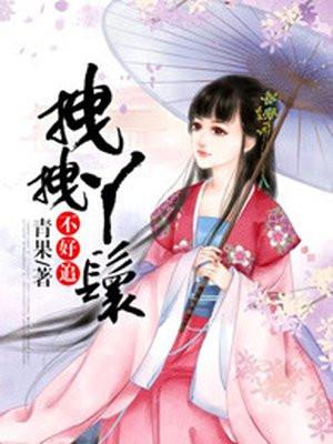 拽拽丫鬟不好追电视剧