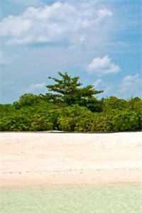 我选择了放手!结局