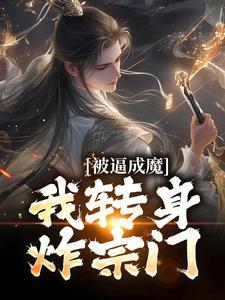 苏长云 天津判几年