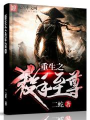 重生之杀手至尊女主