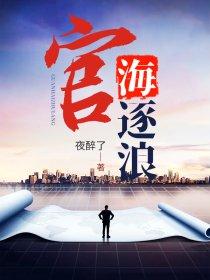 官海逐浪 夜醉了
