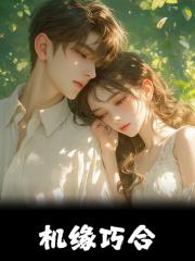 肖迎春傅辰安免费阅读机缘巧合