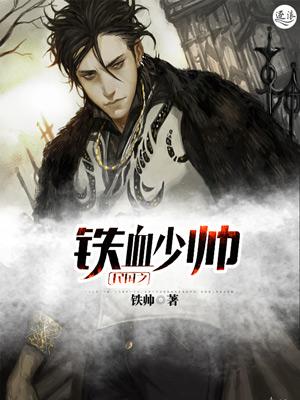民国之铁血少帅免费阅读