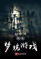 暗黑2梦境符文之语