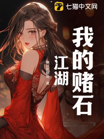 我的赌石生涯辰著笔趣阁