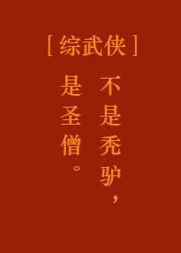 综武侠圣僧TXT