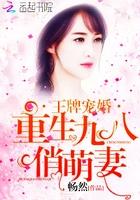 王牌暖婚重生九八俏萌妻