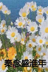 秦念盛淮年第40章