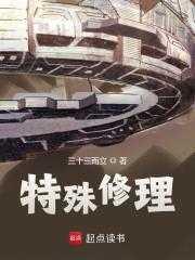 特殊修理可包括