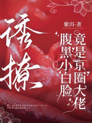 腹黑诱拐小萌妻