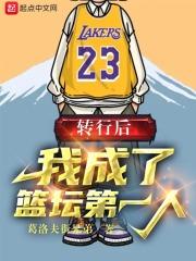 我成了篮坛第一人TXT微盘