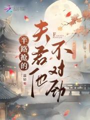 半路抢的夫君他不对劲txt免费阅读