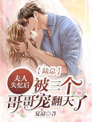 陆总夫人又把您拉黑了