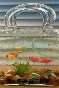 美人多娇皇子折腰陆宁晚萧晔免费阅读