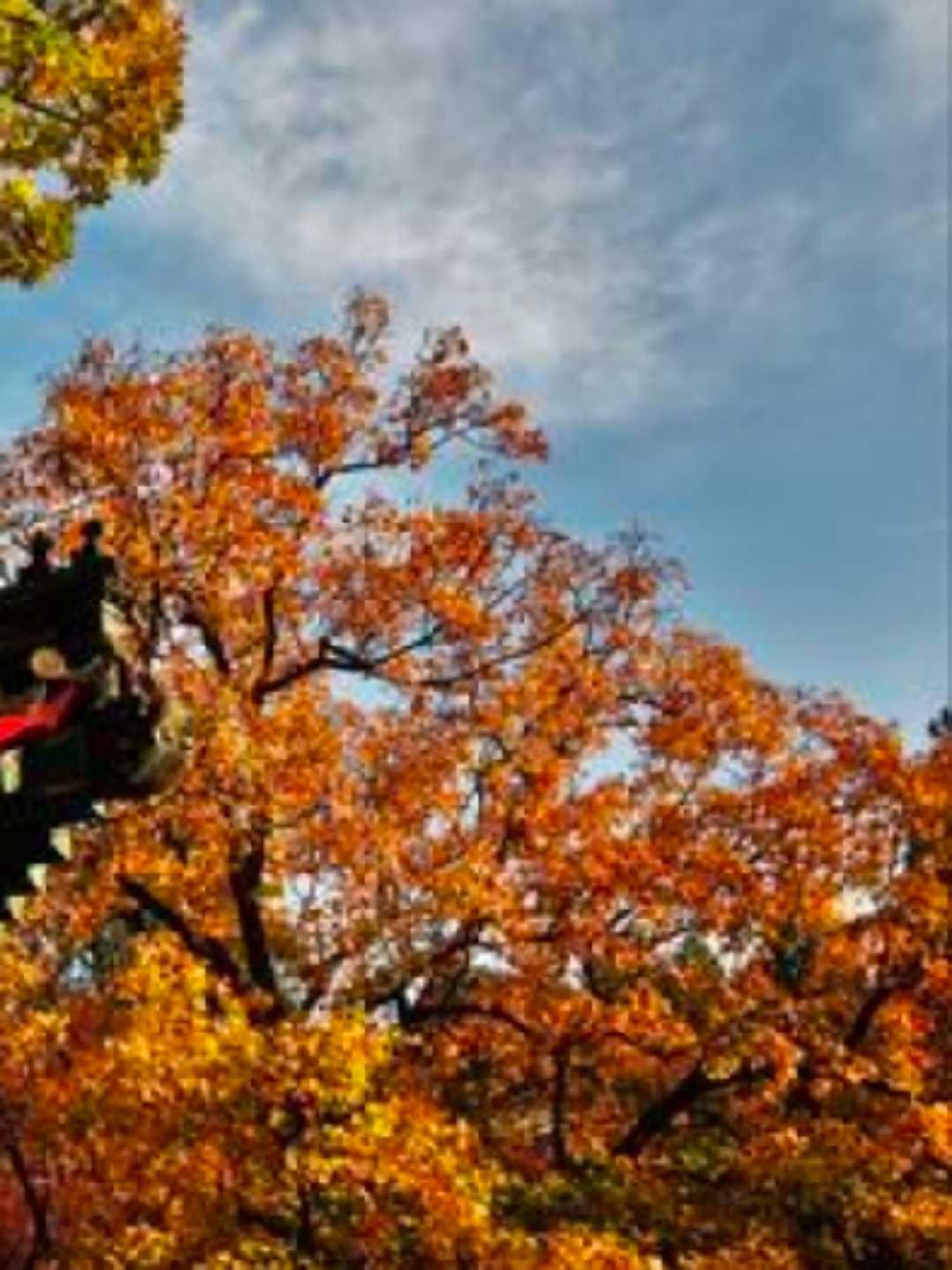 等待着那声号令