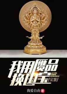 宝鉴我用赝品换国宝