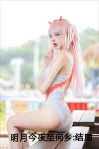 今夜月明下一句古诗