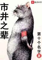 市井之辈相似的