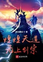 煌煌天道无上剑宗陆炼宵