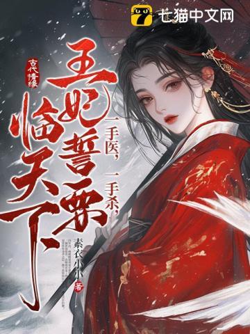 一手医一手杀王妃誓要临天下 素衣小小