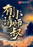 有请小师叔境界划分