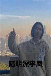 男主叫陆明琛的