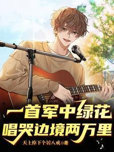 唱哭边境两万里是什么电视剧