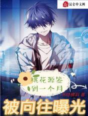 桃花源签到一个月txt