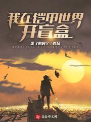 我在铠甲世界当债王卡夜阁