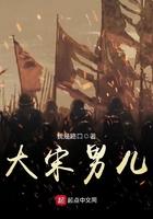 大宋大丈夫免费阅读