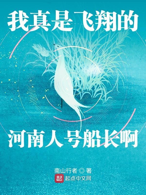 我真的是飞翔得河南人号船长