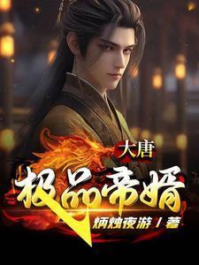 大唐极品帝婿在线阅读